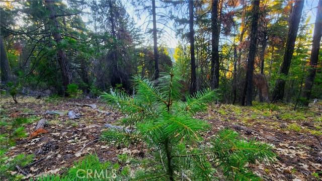 0 Mill Creek Road, Yreka CA 96097 | Unimproved Land 2