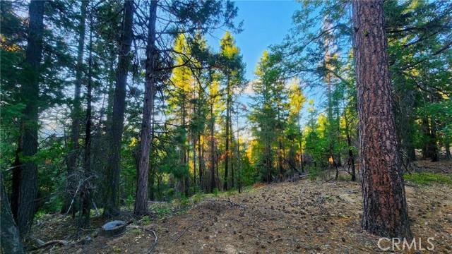 0 Mill Creek Road, Yreka CA 96097 | Unimproved Land 6