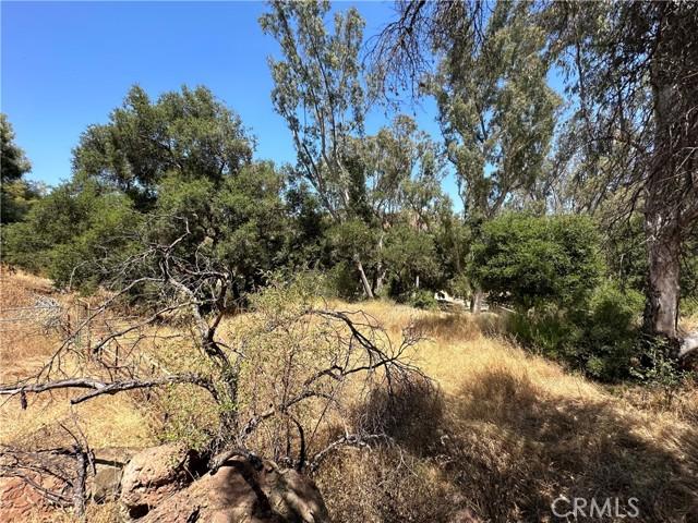 30100 Mulholland, Agoura Hills CA 91301 | Unimproved Land 32