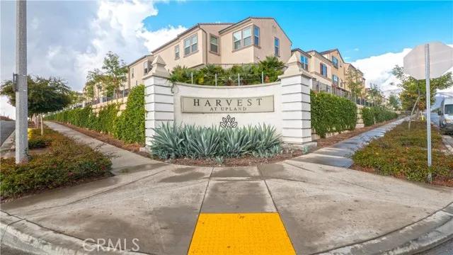 823 Wintergreen Way, Upland Ca 91786 | All Other Attached 7