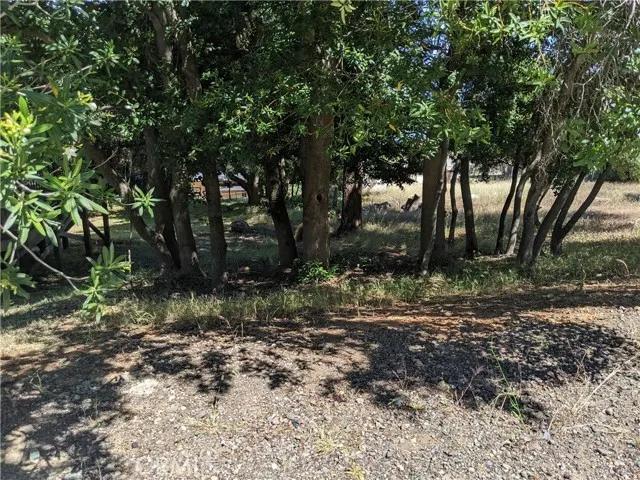 8298 N Heights, Kelseyville Ca 95451 | Unimproved Land 5