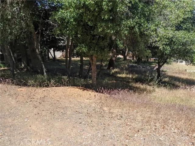 8298 N Heights, Kelseyville Ca 95451 | Unimproved Land 6