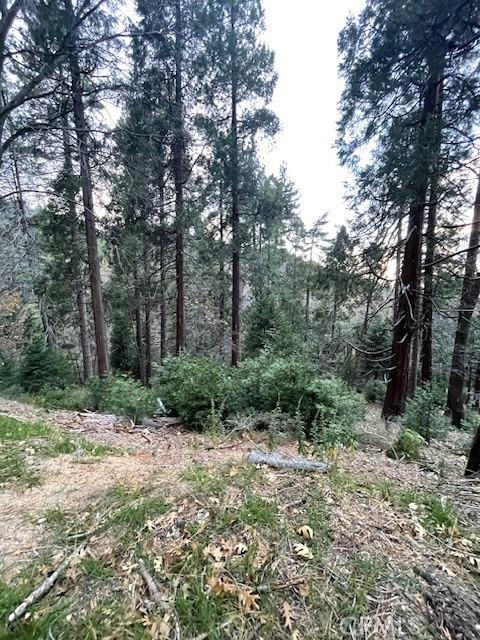 0 Mojave River, Cedarpines Park CA 92322 | Unimproved Land 2