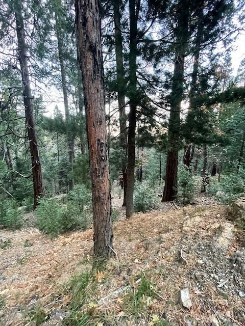 0 Mojave River, Cedarpines Park CA 92322 | Unimproved Land 4