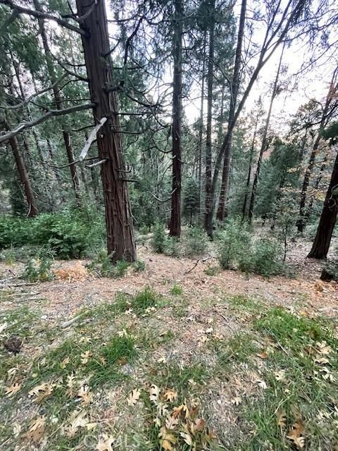 0 Mojave River, Cedarpines Park CA 92322 | Unimproved Land 3