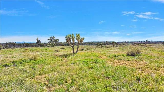 8620 Hollister, Phelan CA 92371 | Unimproved Land 14