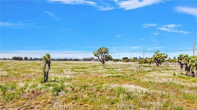 8620 Hollister, Phelan CA 92371 | Unimproved Land 12