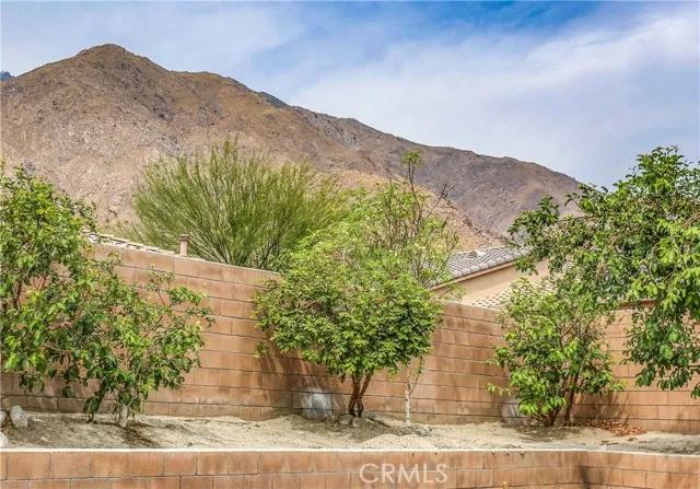 1245 Mira Luna, Palm Springs Ca 92262 | Detached 25