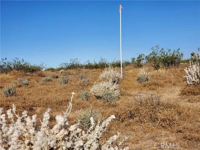 2 Ave L12, Lancaster Ca 93535 | Unimproved Land 3