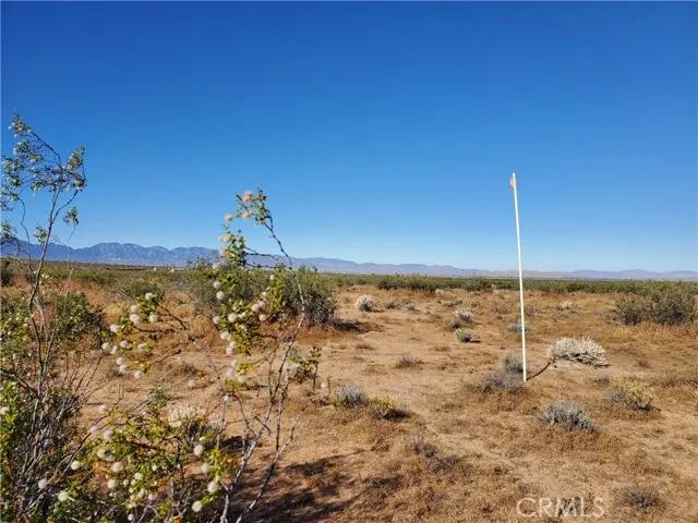 2 Ave L12, Lancaster Ca 93535 | Unimproved Land 1