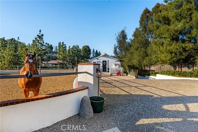 7715 E Lolita Street, Orange Ca 92869 | Detached 52