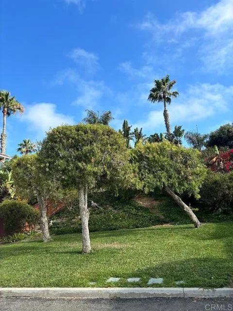 7398 Escallonia Court, Carlsbad Ca 92011 | Detached 5