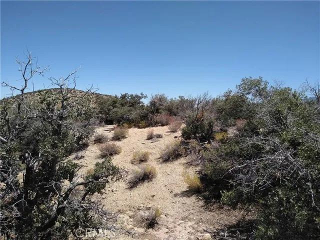 0 Vic 116th St E & Juniper Mesa, Littlerock CA 93543 | Unimproved Land 12