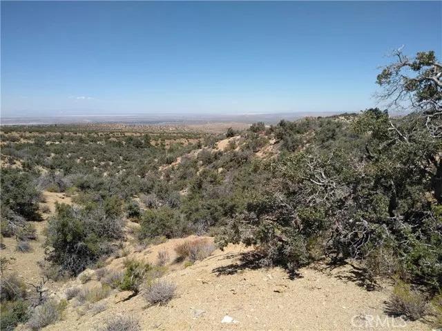 0 Vic 116th St E & Juniper Mesa, Littlerock CA 93543 | Unimproved Land 10