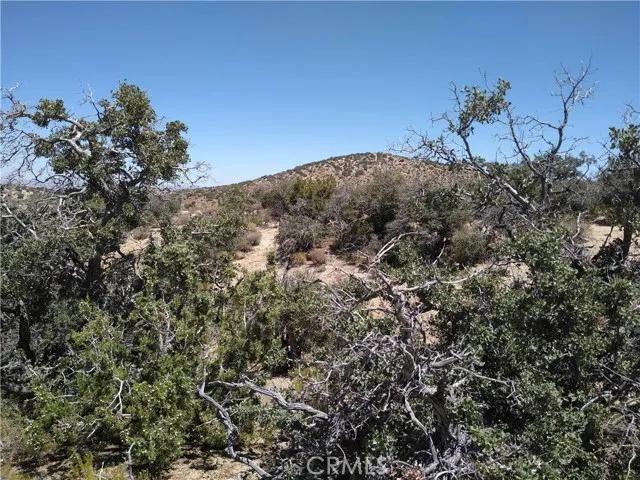 0 Vic 116th St E & Juniper Mesa, Littlerock CA 93543 | Unimproved Land 11