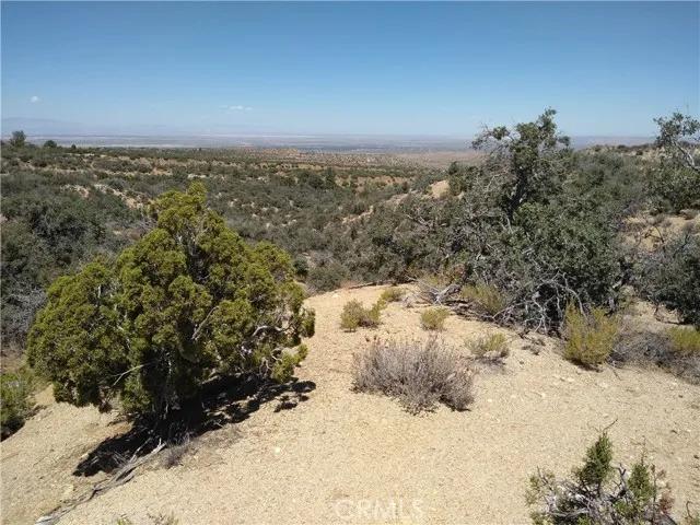 0 Vic 116th St E & Juniper Mesa, Littlerock CA 93543 | Unimproved Land 0