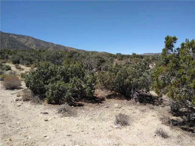 0 Vic 116th St E & Juniper Mesa, Littlerock CA 93543 | Unimproved Land 7