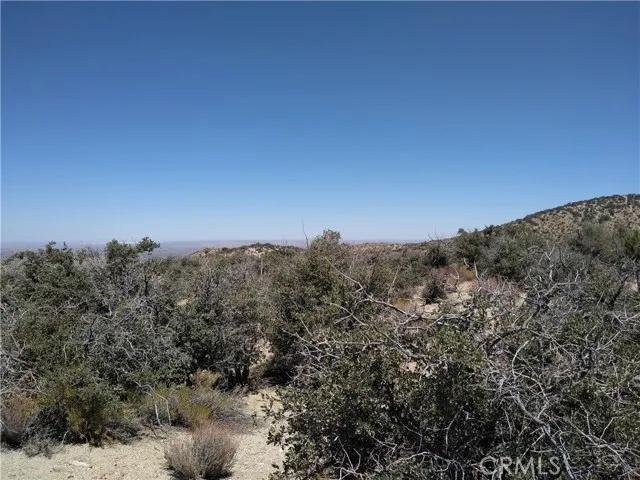 0 Vic 116th St E & Juniper Mesa, Littlerock CA 93543 | Unimproved Land 9