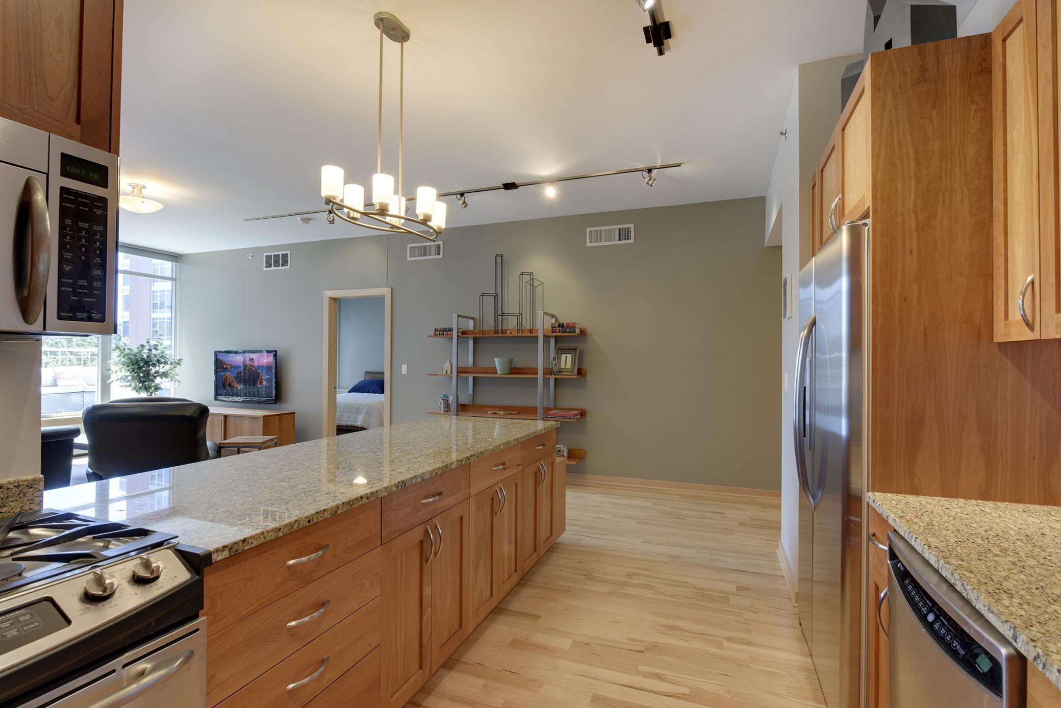  , Minneapolis, Hennepin County, Minnesota 55415, USA  | Condo 3